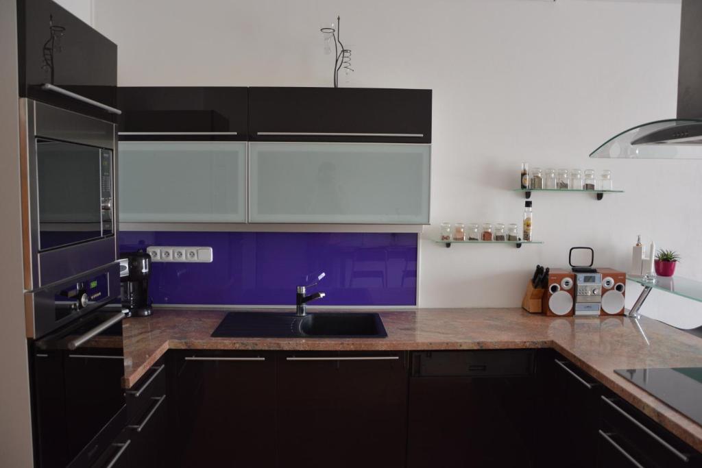 Kuchyň nebo kuchyňský kout v ubytování Apartmán Zderadova