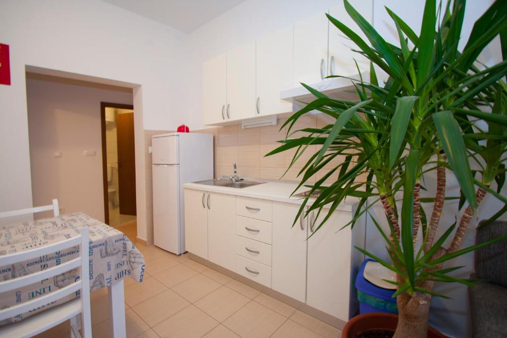 Kuchyňa alebo kuchynka v ubytovaní Rooms & Apartments Bruno