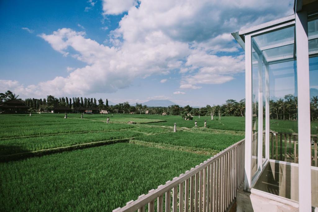 Zahrada ubytování Casa Avana