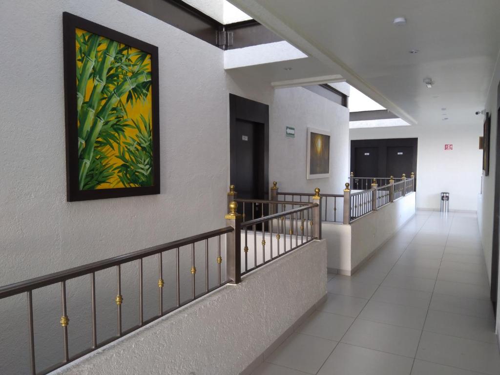 Fotografie z fotogalerie ubytování Hotel SanJo v destinaci San José Iturbide