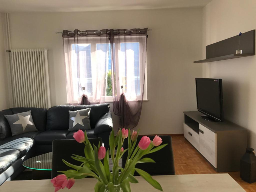 TV a/nebo společenská místnost v ubytování Casa Realba