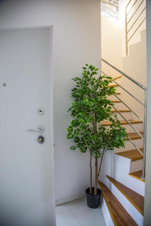 Apartments Victoria - 17