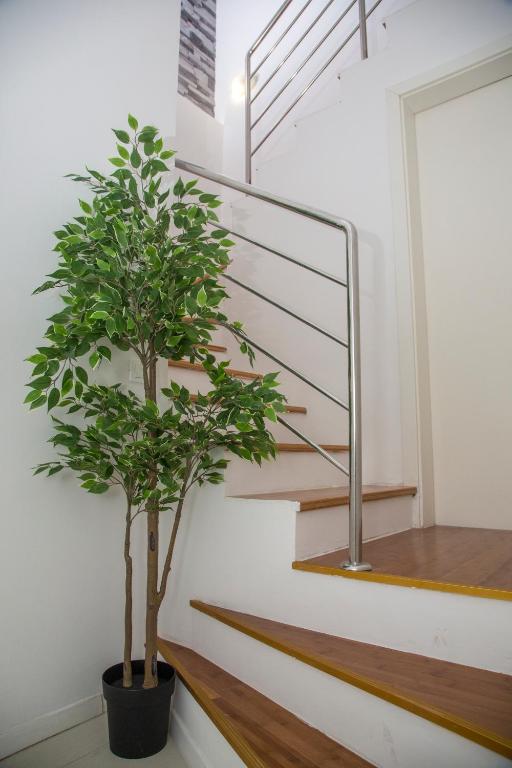 Apartments Victoria - 18