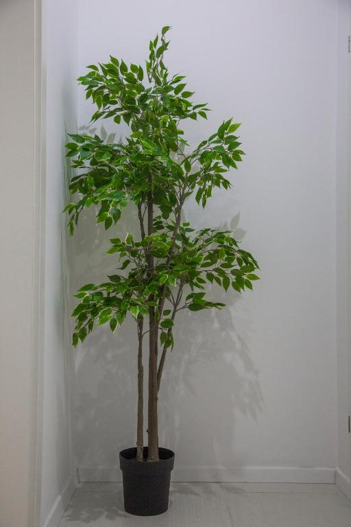 Apartments Victoria - 19