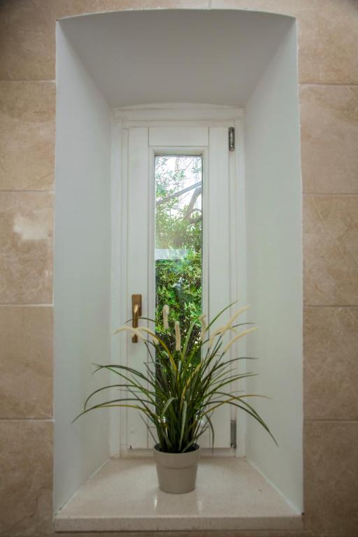 Apartments Victoria - 16