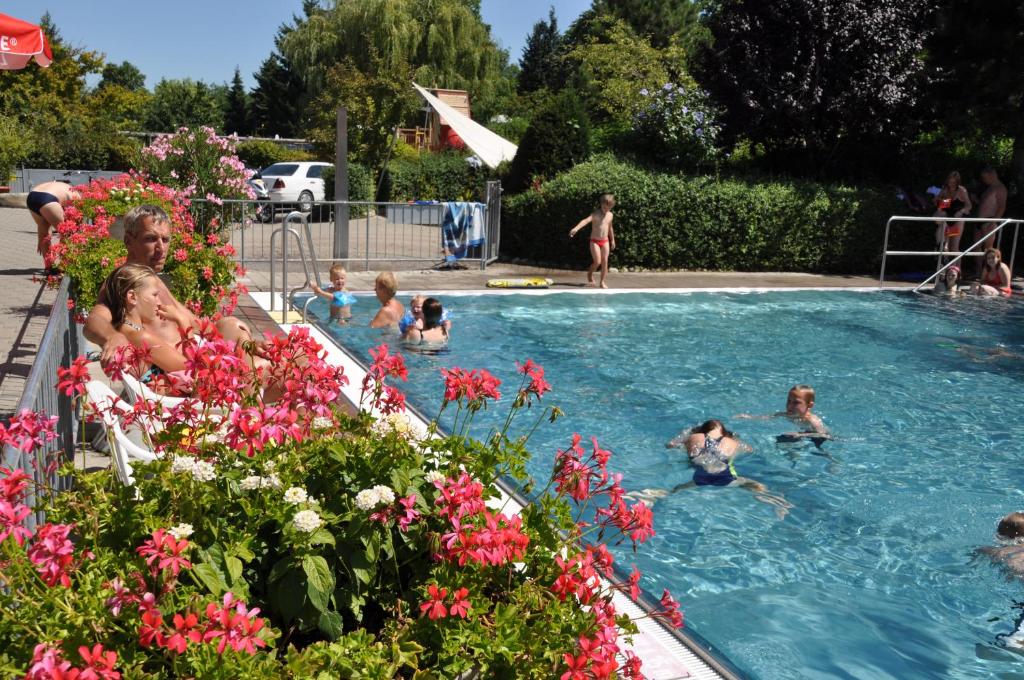 a group of people in a swimming pool with flowers at Lug ins Land Restaurant & Ferienwohnungen in Bad Bellingen