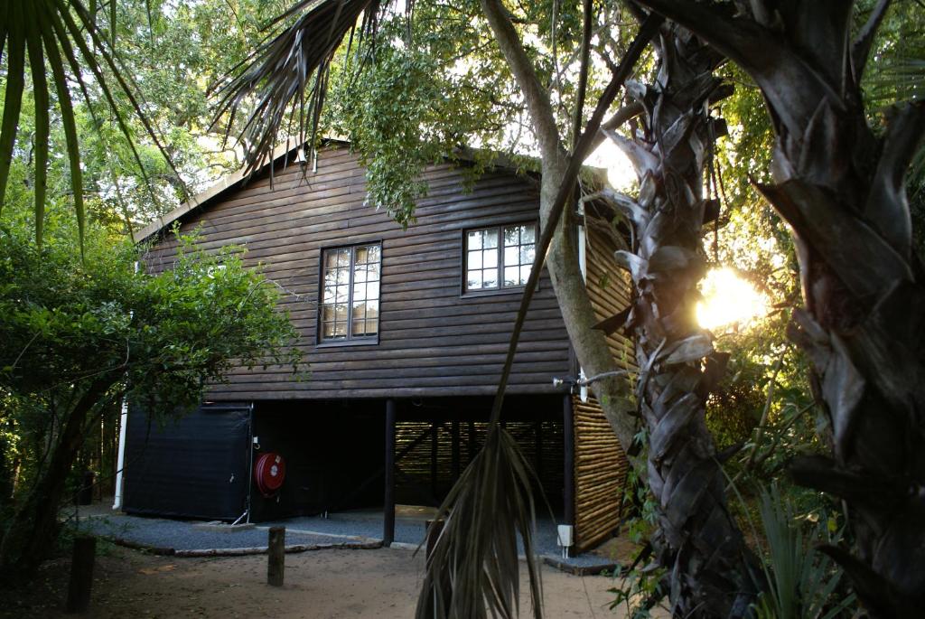 a wooden cabin in the middle of a forest at Isinkwe Bush Camp in Hluhluwe