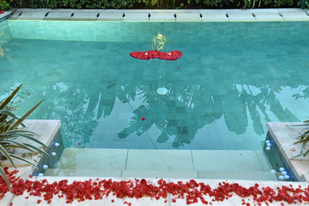 Katala Suites and Villas - 16