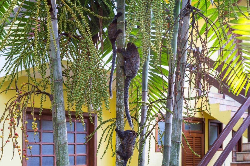  Arraial Bangalô Praia Hotel