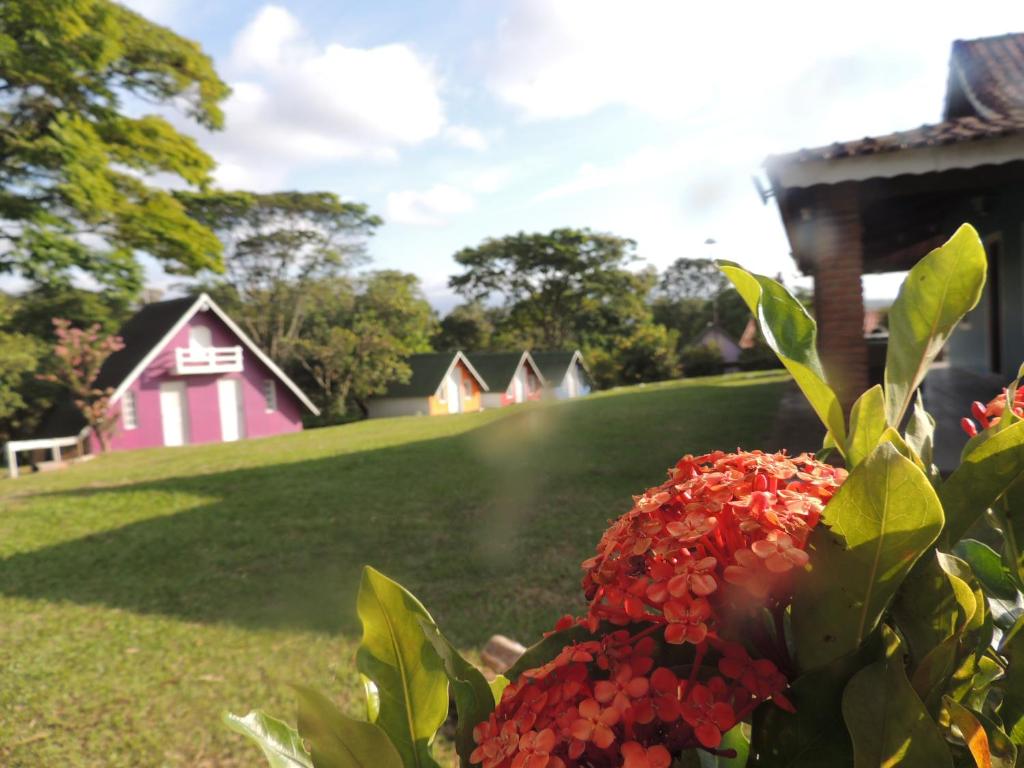 a group of houses in a field with flowers at Pousada Sitio Roda D'Água Mairinque in Mairinque