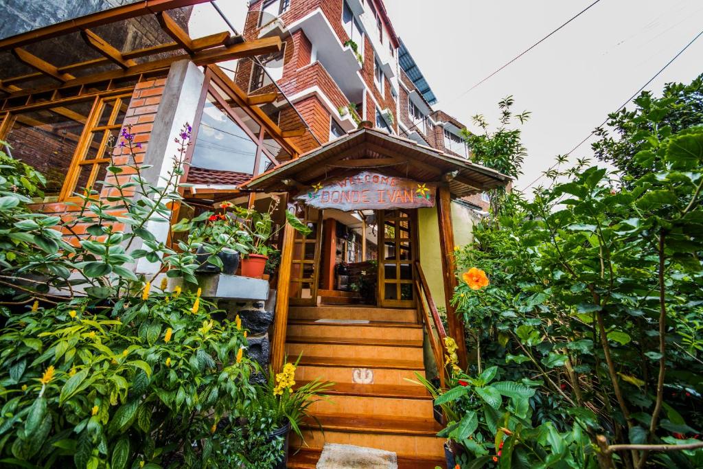 Zahrada ubytování Hotel Donde Ivan