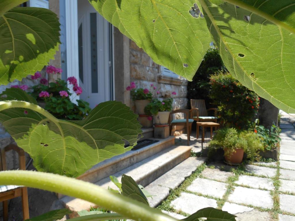 Guest House Cinema close to port - 8