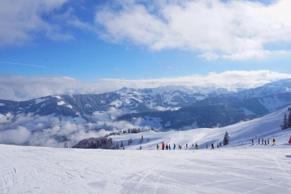 Berggasthof Schatzbergalm v zimě