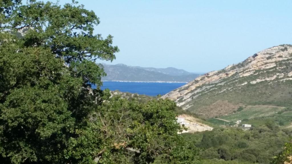 - une vue sur l'océan depuis les collines dans l'établissement Ma vie là, à Patrimonio