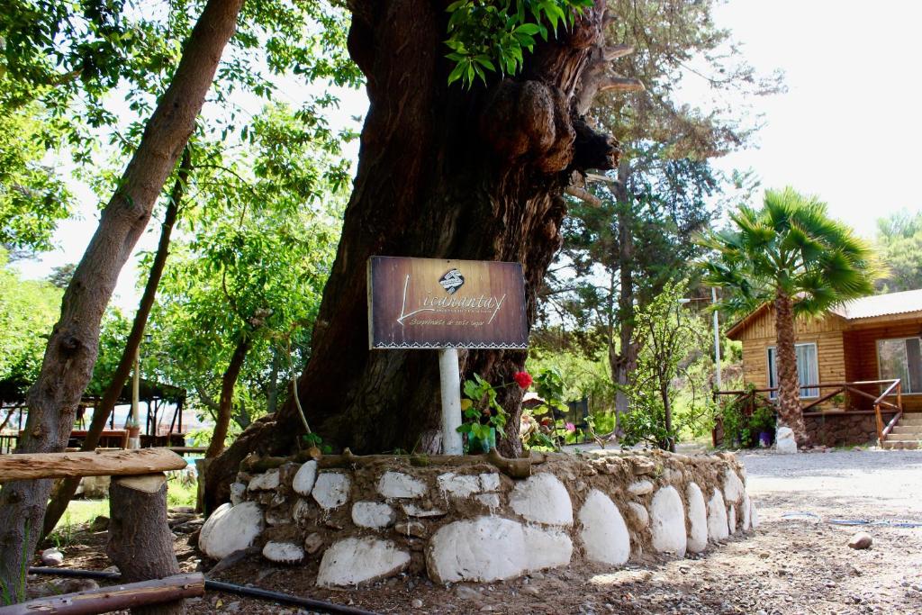 un árbol con un cartel delante de él en Cabañas Licanantay en Vallenar