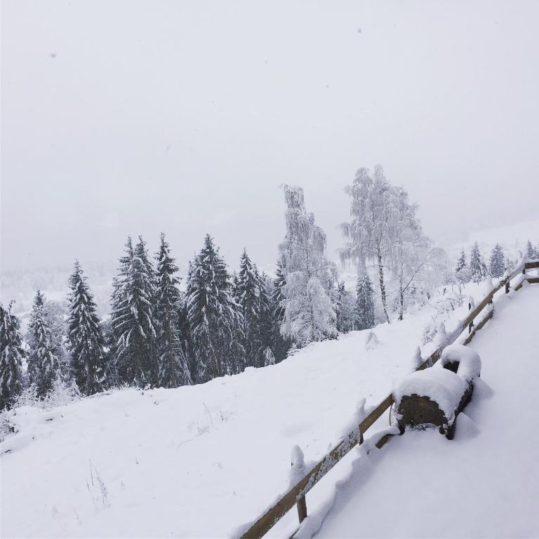 Reinwalds Almhütte v zimě