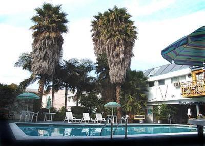 a swimming pool with palm trees and chairs and umbrellas at Tradewinds Airport Hotel in Inglewood