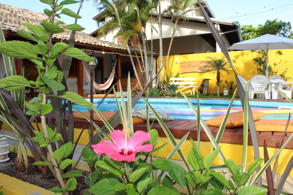 una flor rosa frente a una piscina en Casa Pousada Rosa dos Ventos, en Florianópolis
