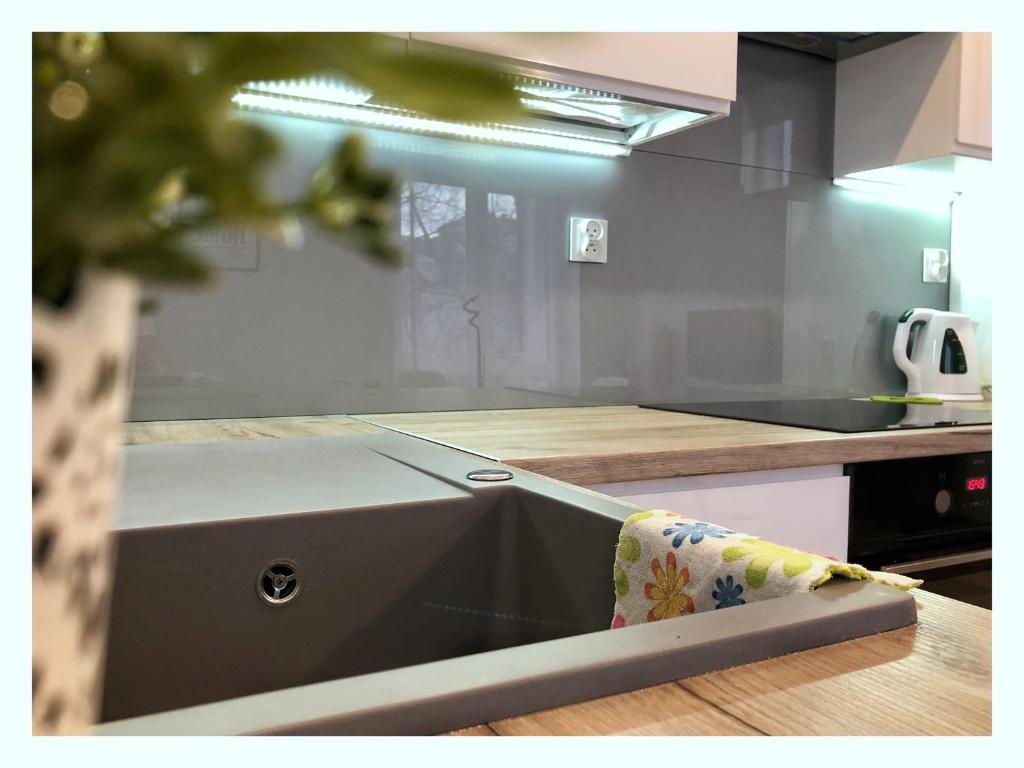 Kuchyňa alebo kuchynka v ubytovaní Apartament przy Ratuszu