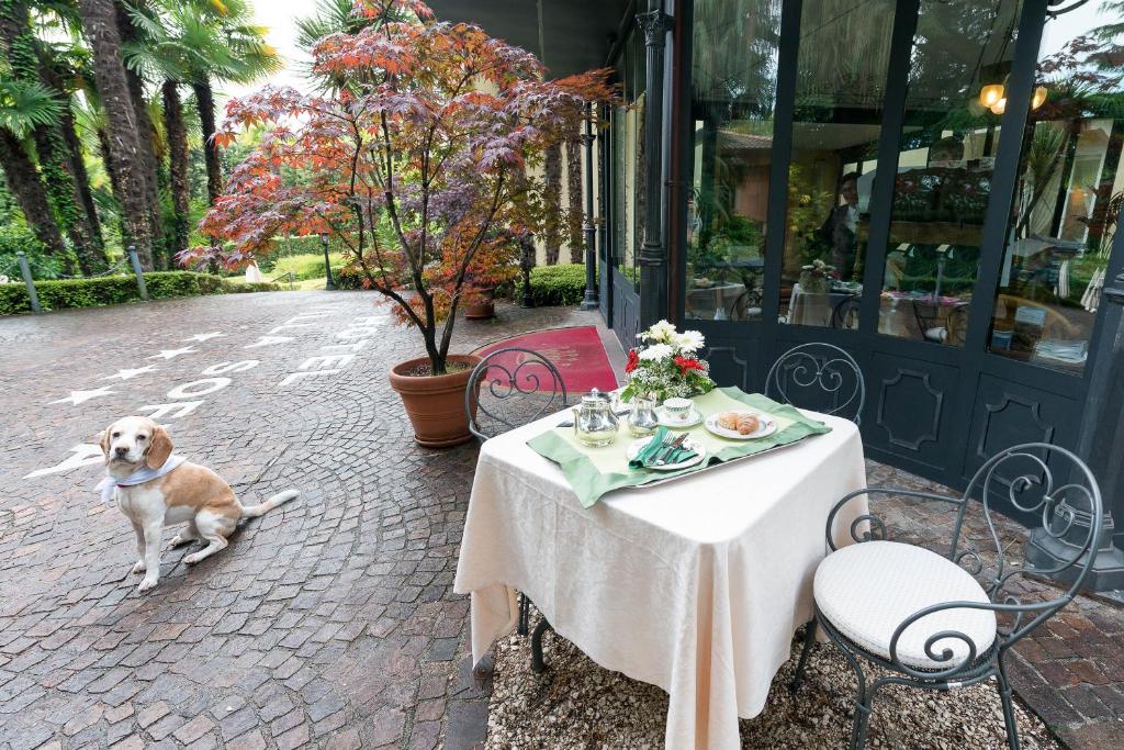 Domácí mazlíčci ubytovaní s hosty v ubytování Villa Sofia Hotel