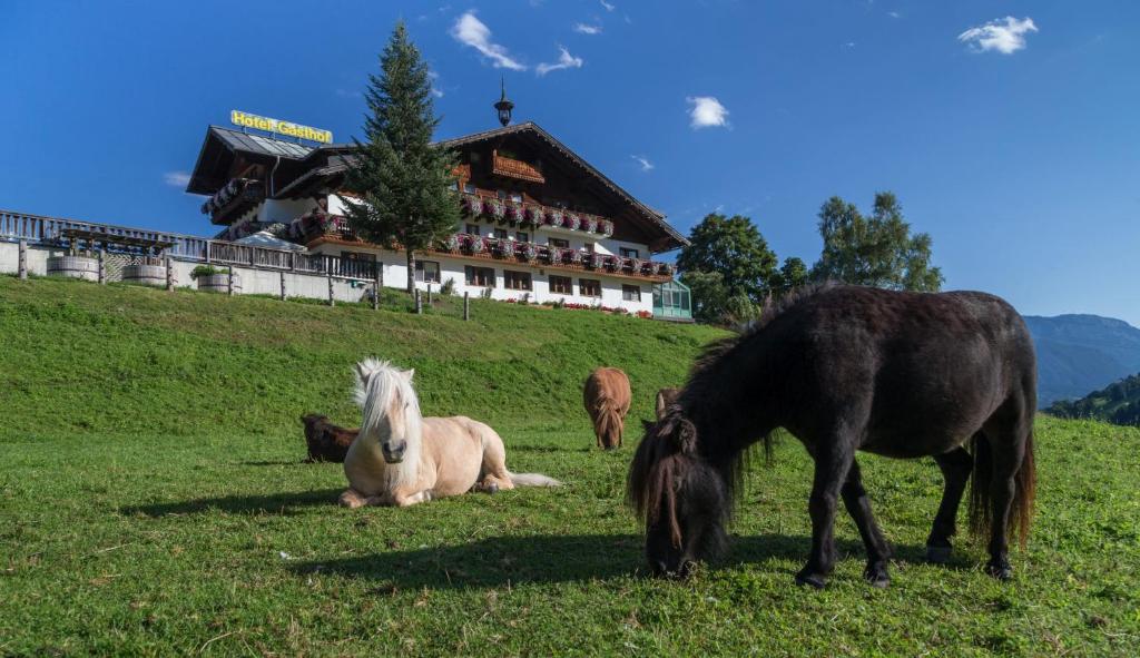 eine Gruppe von Pferden, die auf einem Feld mit einem Gebäude grasen in der Unterkunft Seiterhof in Schladming