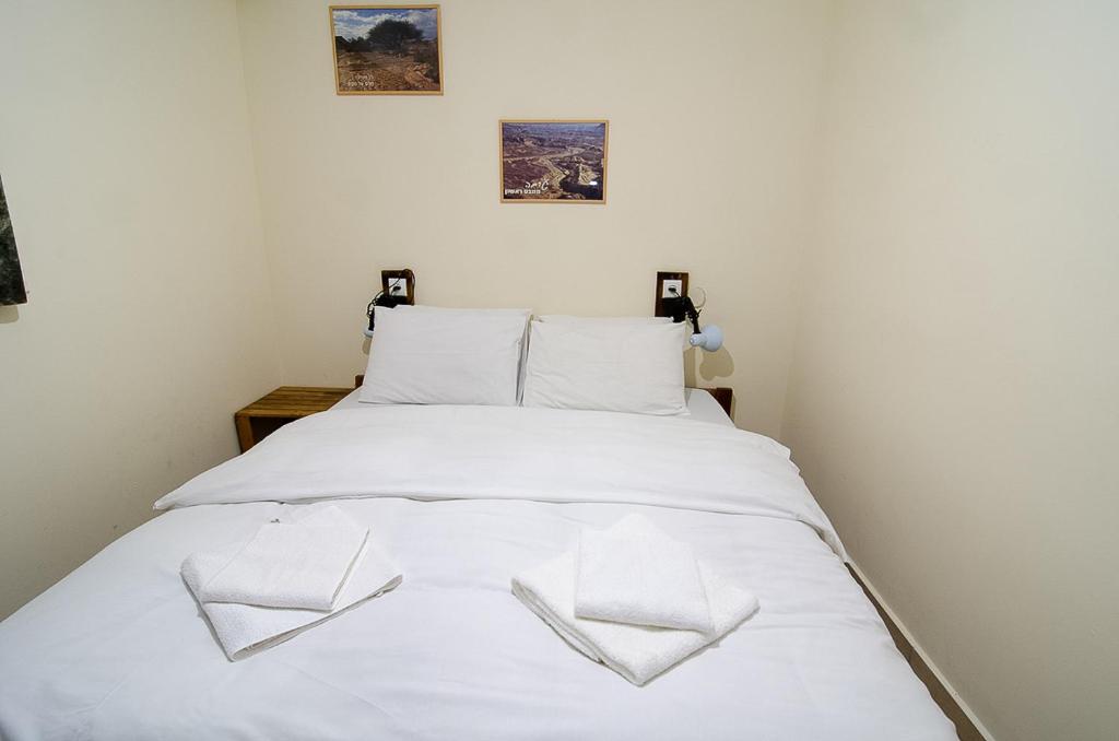 Postel nebo postele na pokoji v ubytování Desert Routes Inn Shvilim ba Midbar