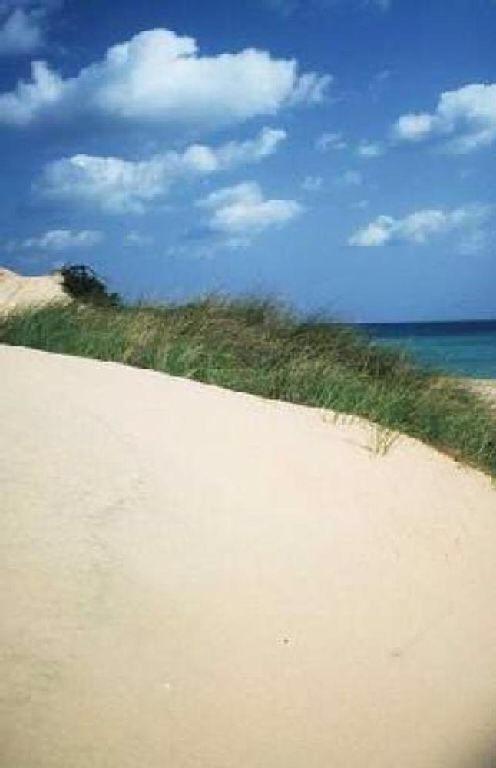 a sandy beach with the ocean in the background at Dolce Bungalow R5915 in Pula