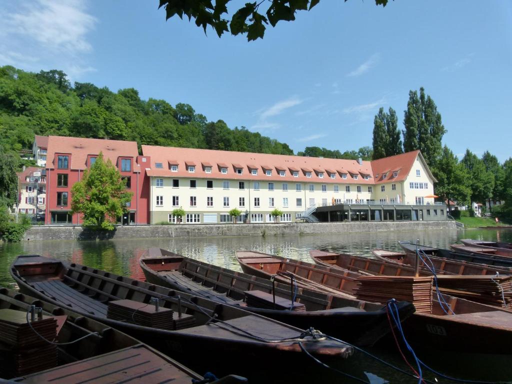 a group of boats in the water in front of a building at Jugendherberge Tübingen in Tübingen