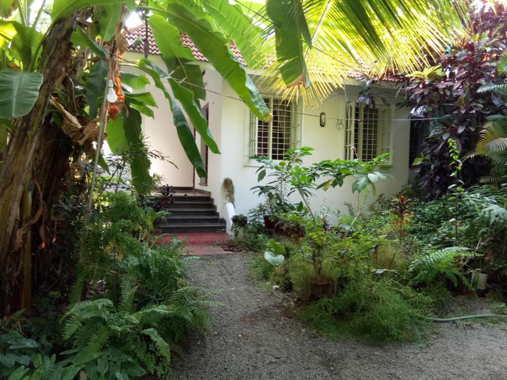 Zahrada ubytování Coconut Grove