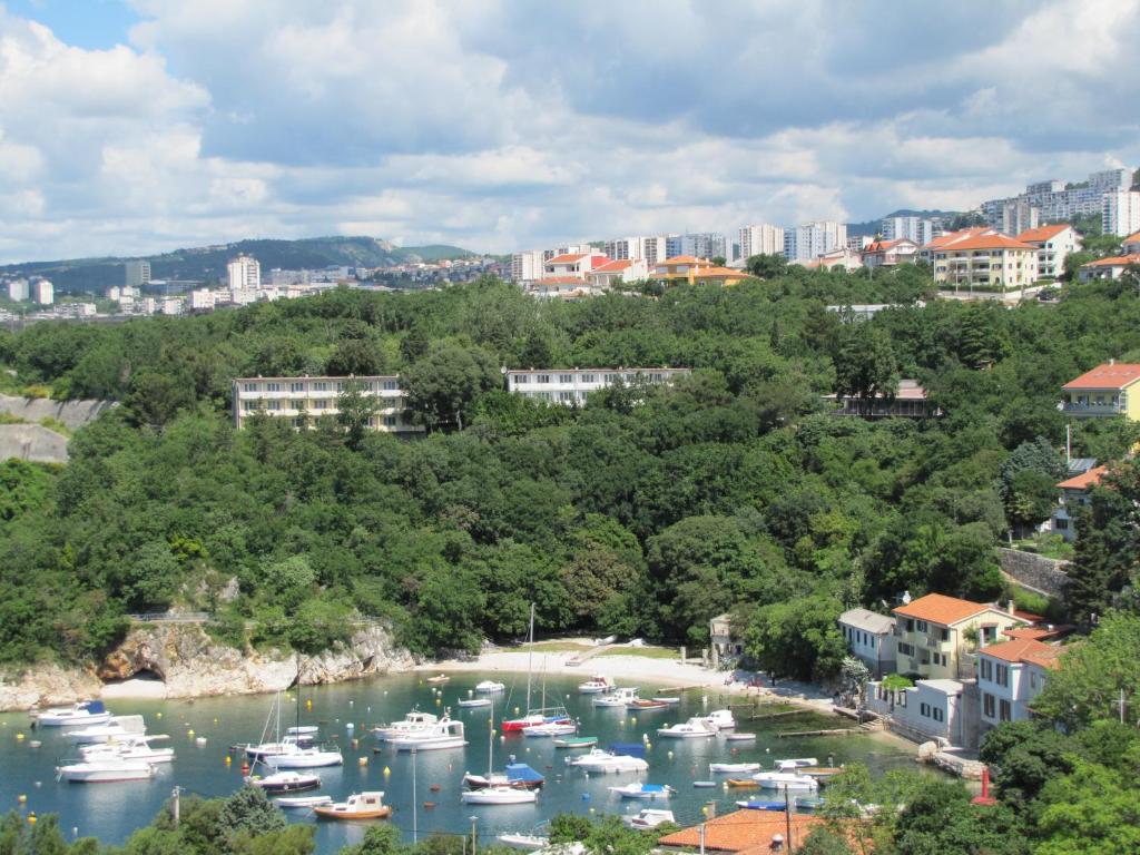 Pokrajina v okolici prenočišča