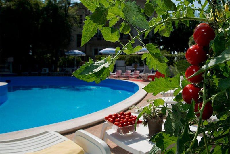 Bazén v ubytování Hotel Trafalgar nebo v jeho okolí