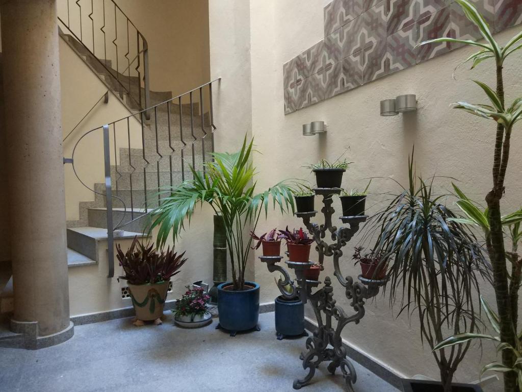 Zdjęcie z galerii obiektu HIN17 estudios w Maladze