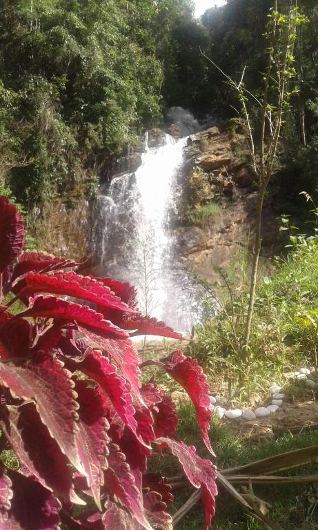  Pousada Águas da Mata