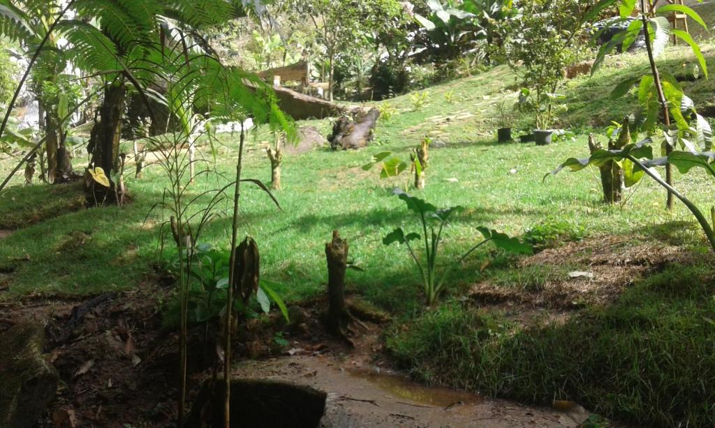  Pousada Águas da Mata