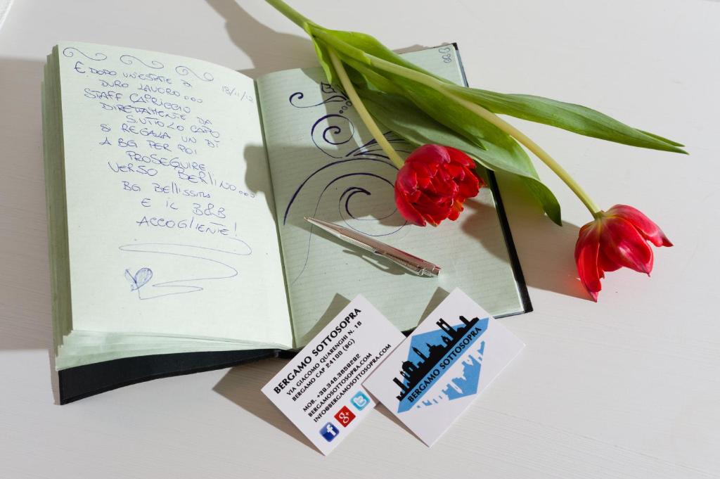 Bergamo Sottosopra - 16