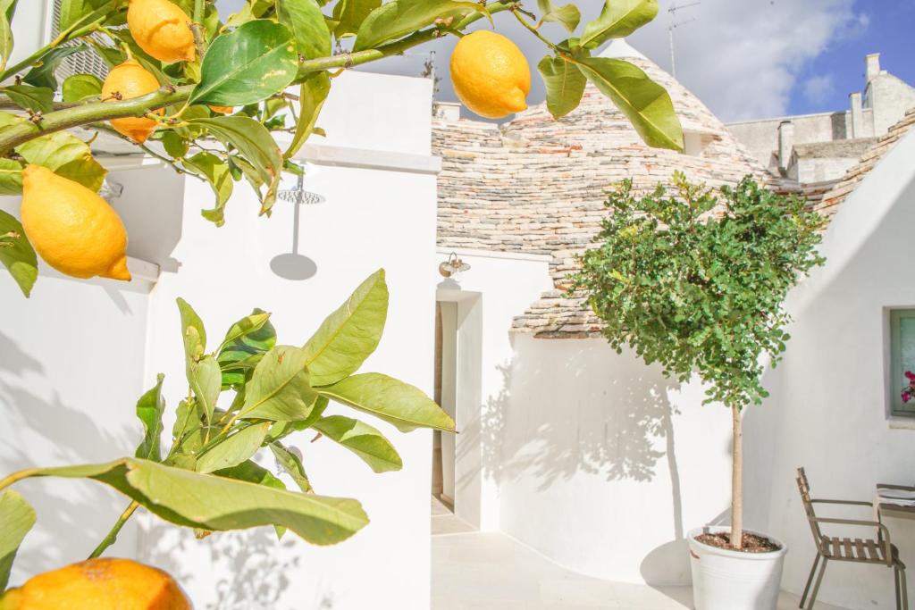 Mynd úr myndasafni af Trullo Essenza-Trulli Antì Charme & Relax í Alberobello