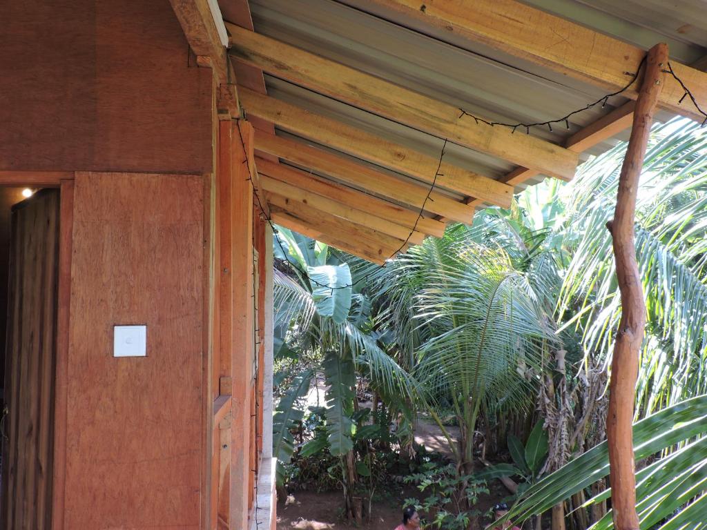 Zahrada ubytování Sigiri Aliya Tree house