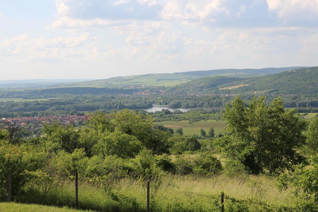 Příroda nedaleko apartmánu