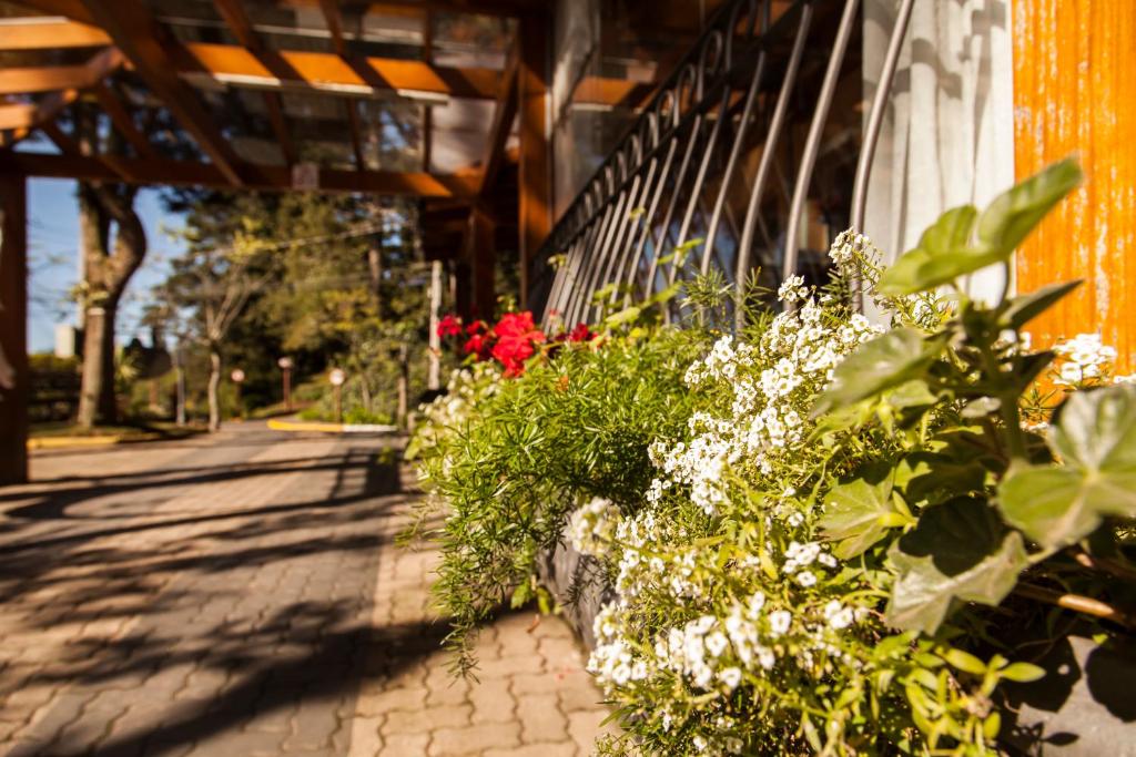 Pousada Águia Branca  Pousada Águia Branca