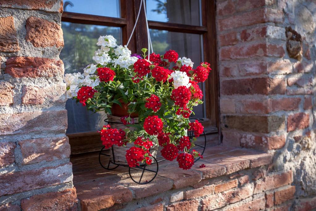 Fotografie z fotogalerie ubytování Agriturismo Nibbiano v destinaci Montepulciano