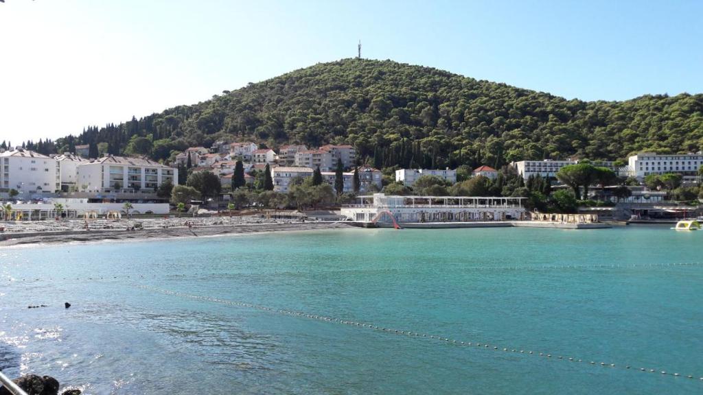 a view of a beach with a mountain in the background at Ana Guesthouse in Dubrovnik