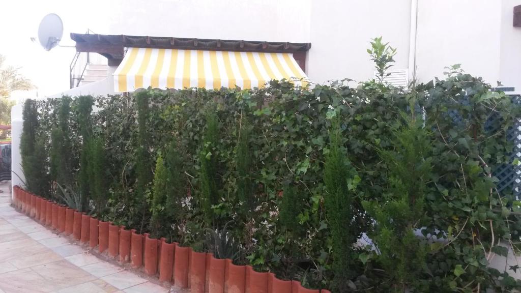 Vonkajšia záhrada v ubytovaní naturist apartament