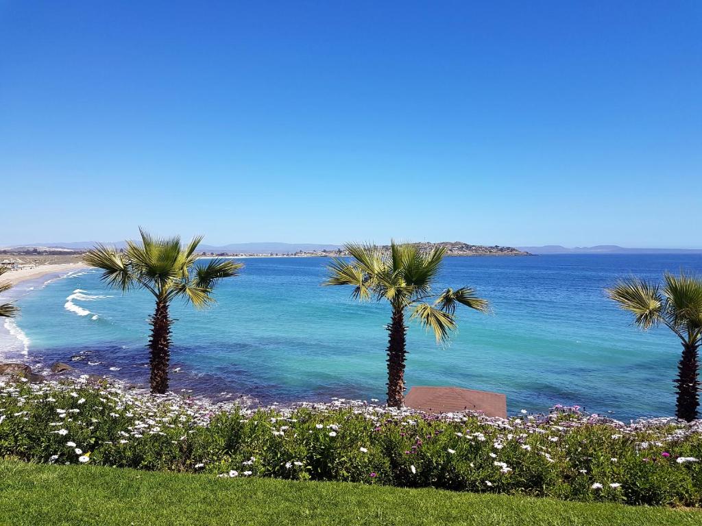 een uitzicht op een strand met palmbomen en de oceaan bij Puerto Velero/ Primera Linea in Puerto Velero