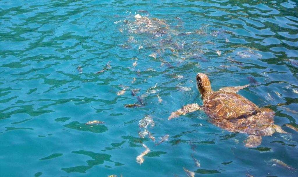  Quitinetes e Suites em Arraial