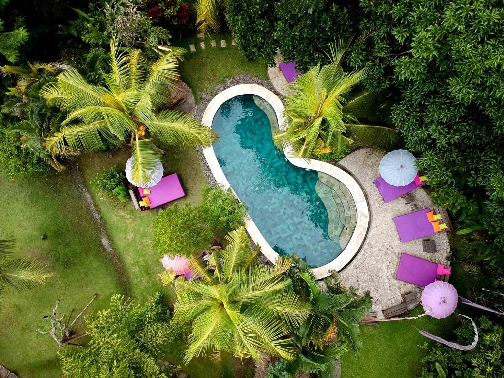 an overhead view of a swimming pool with palm trees at Swasti Eco Cottages in Ubud