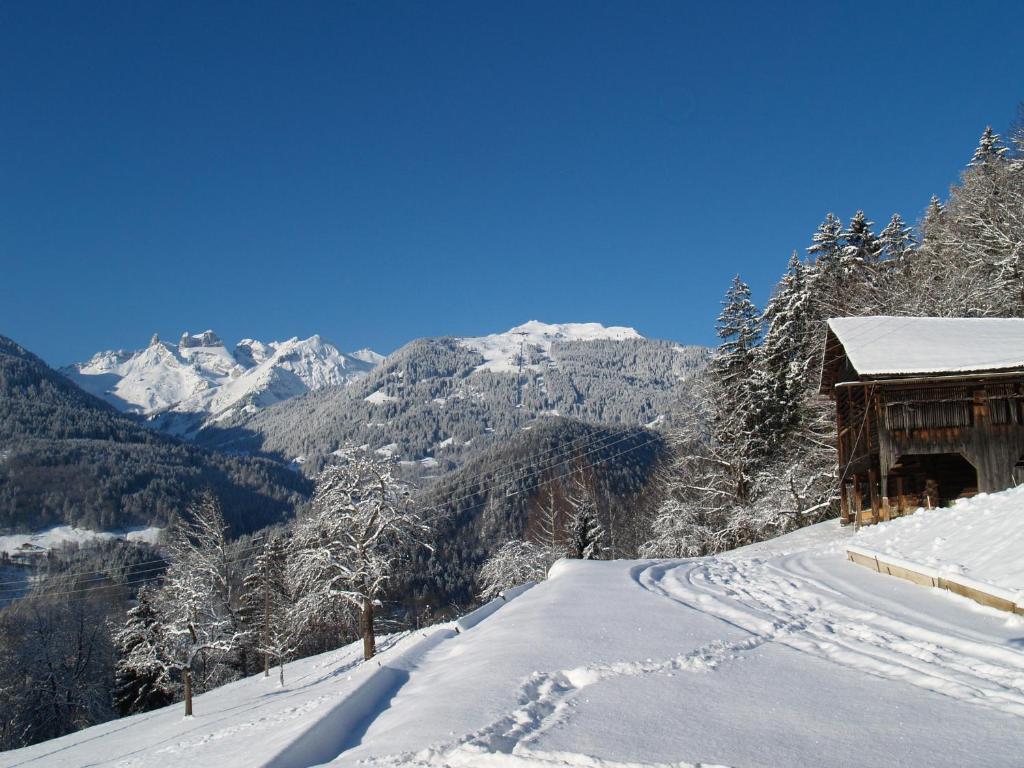 Haus grüner Wald v zimě
