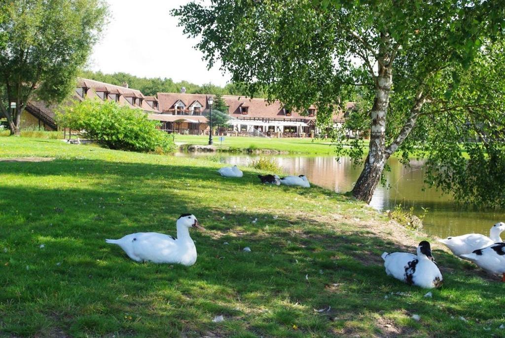 Příroda nedaleko hotelu