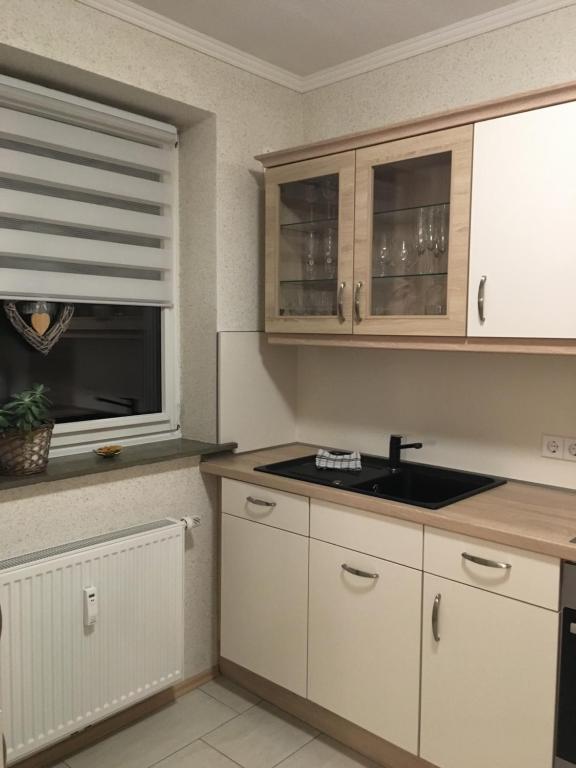 Kuchyň nebo kuchyňský kout v ubytování Ferienwohnung am DOC