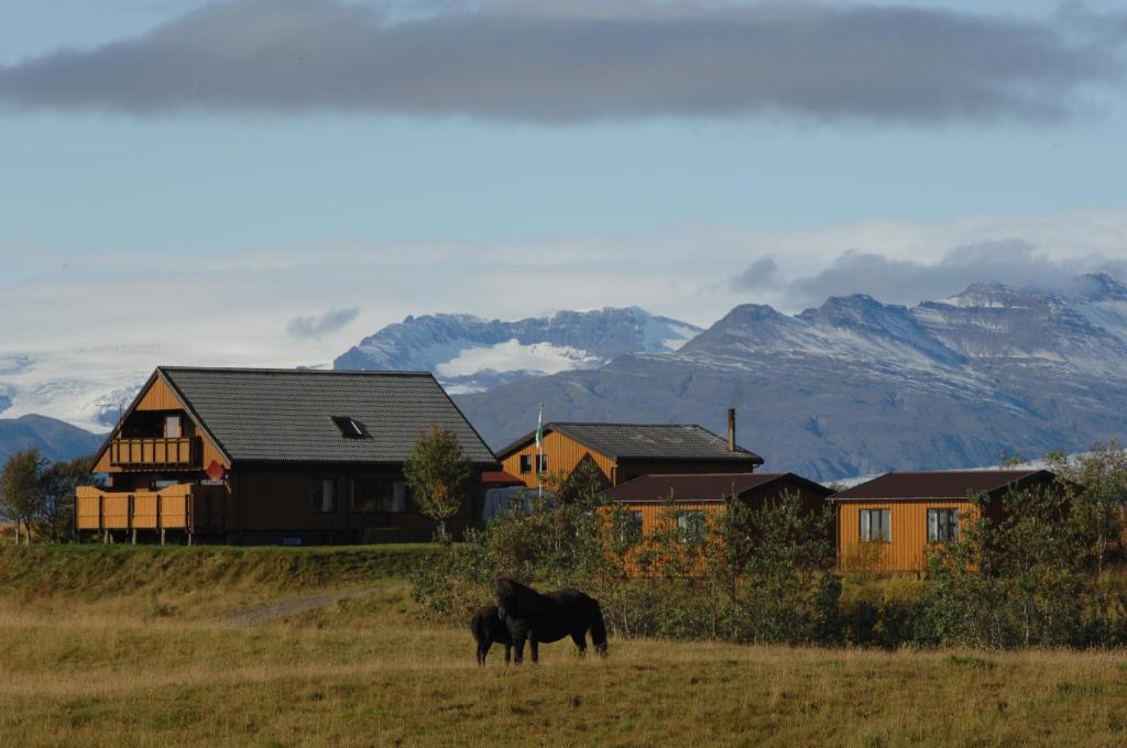um cavalo preto pastando em um campo com casas e montanhas em Árnanes Country Hotel em Höfn
