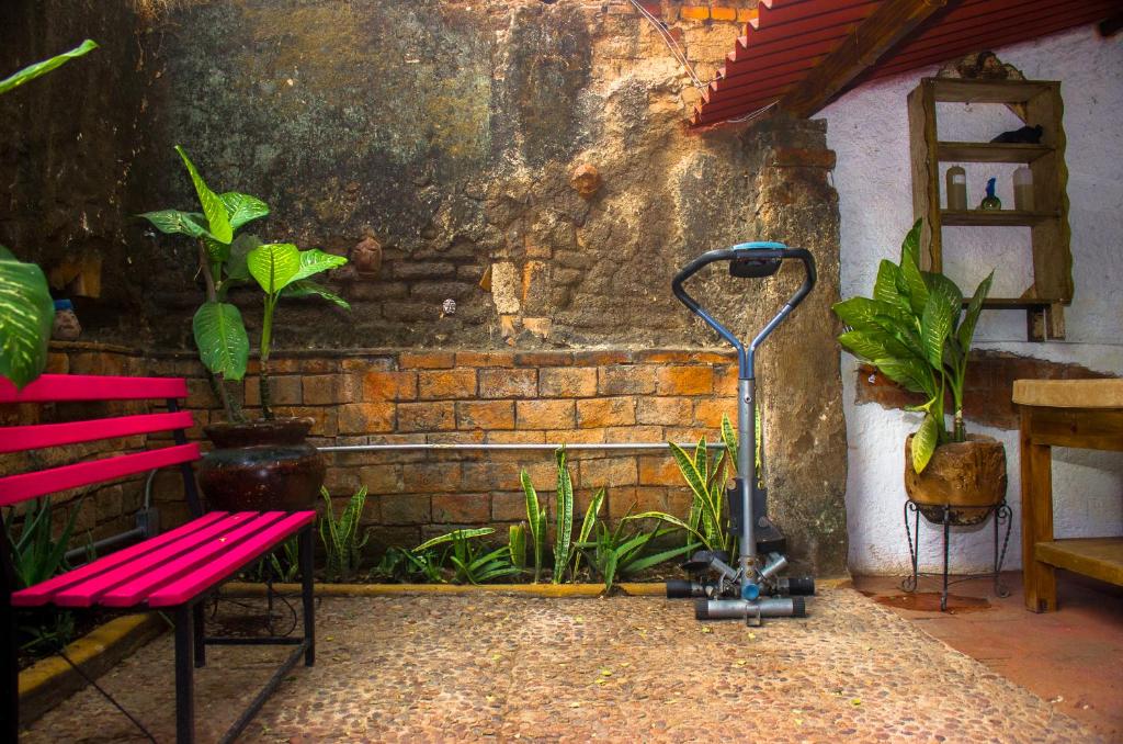 Zahrada ubytování Casona Tlaquepaque Temazcal & Spa